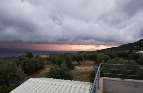 Panoramic View Summerhouse - Foto 43