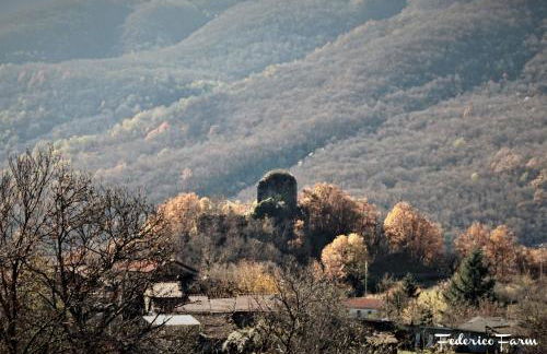 La Casa del Sarto - FedericoFarm - Foto 40