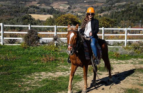 Ermis Katafigio - Photo 21