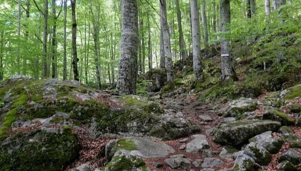 A natureza ao redor da Caverna Ivan Rilski