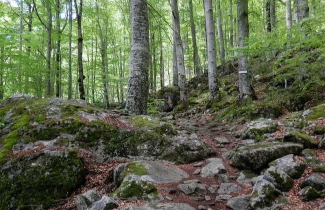 Excursión al Monasterio de Rila y la cueva de Ivan Rilski - Foto 5
