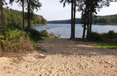 Serce Puszczy Wiartel - Foto 6