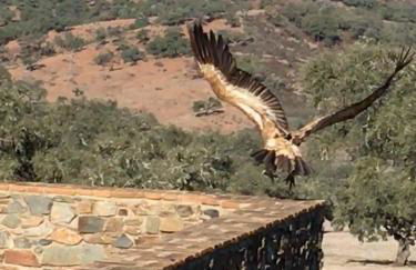 Casa Rural Monterrey Aroche - Foto 44