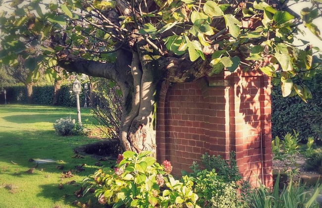 B&B VillaGaia - Foto 43