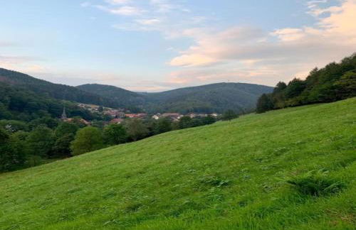 Cosy Holiday Home in the Harz Region - Foto 148