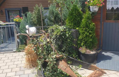 Ferienhof Kaiser - Foto 21