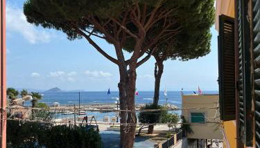 Via Scappini - Foto 4