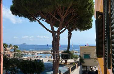 Via Scappini - Foto 4