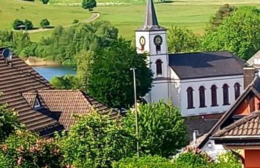 Eifel Urlaub mit Hunden Ferienhaus Schwalbennest Schalkenmehren - Foto 11