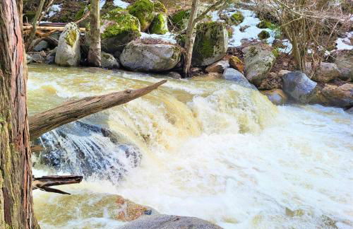 Trout River Cabin - Cozy Quiet Peaceful Retreat - Foto 28