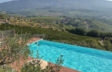 Castello Vicchiomaggio - Foto 2