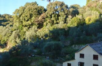 San Martino Relax Garden - Foto 10