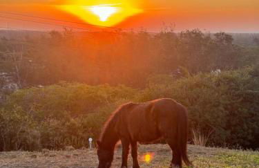 Pousada Fazendinha Beach Club Arraial do Cabo - Photo 60
