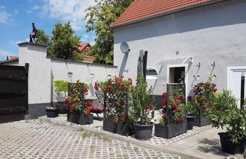 Ferien- Monteurwohnung bis 6 Personen - Foto 40