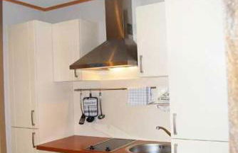 Schneeeule 203 - Foto 14