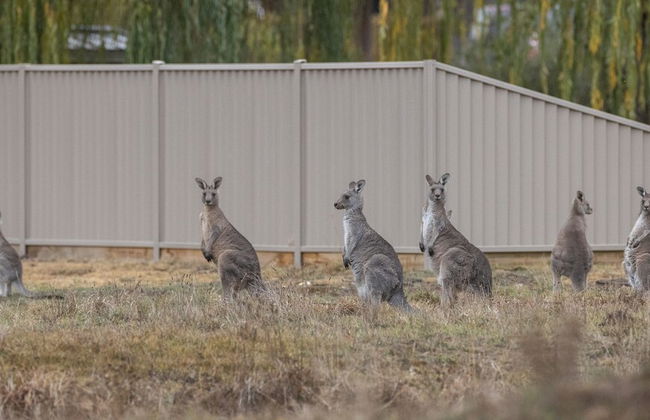 Creswick Holiday Park - Photo 24