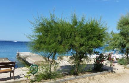 Apartments with sea view - Foto 10