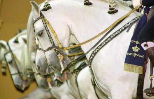 Semiloft Romantico Catedral con soleada azotea comunitaria - Foto 39