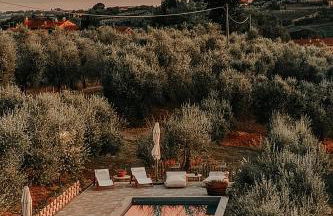 The Olive Grove in Tuscany - Foto 11