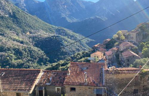 Appartement maison de village à Ota-Porto - Foto 6