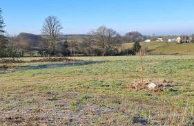 Nid Douillet des Forges - Maison 2 chambres, jardin & parking gratuit - Foto 25