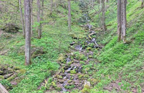 Nature's Paradise at 'The Reserve at Hot Springs' - Foto 16