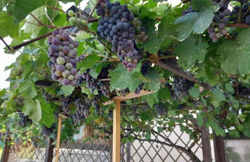 Ferienhaus Resch - Foto 2