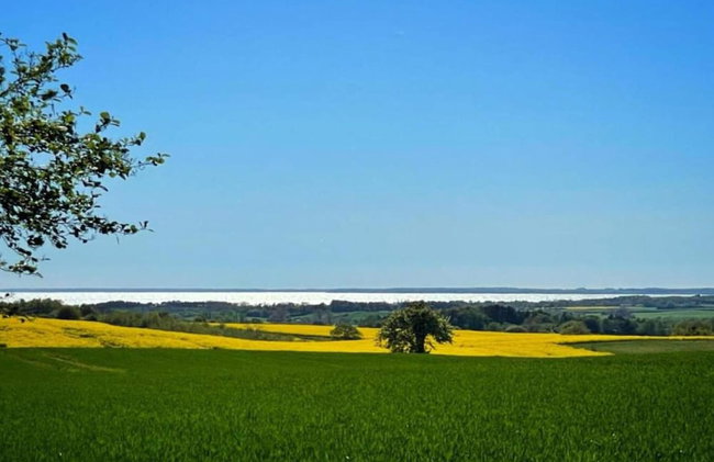 4 Star Holiday Home in Borre - Foto 12