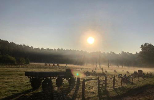 Forsthaus Zartwitzer Hütte - Foto 43
