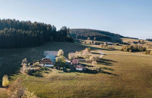 Sigmundenhof Schonach - Foto 1