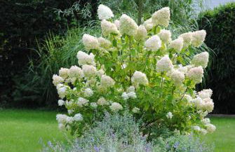 Glück im Kohlenpott - Foto 12