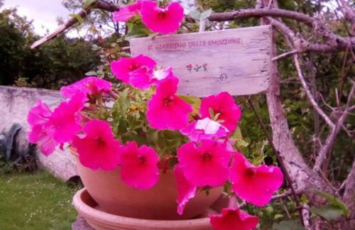 Casa Vacanze IL Giardino delle Emozioni - Foto 9