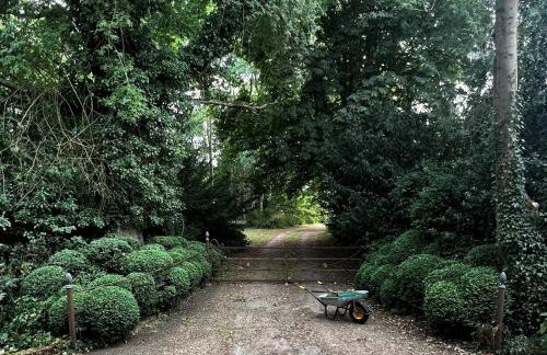 4 Bed in Eye- oc-34389 - Foto 49