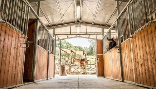 Agriturismo Goccia di Luna - Foto 5