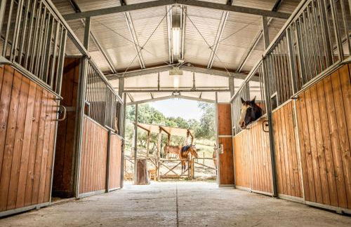 Agriturismo Goccia di Luna - Foto 6