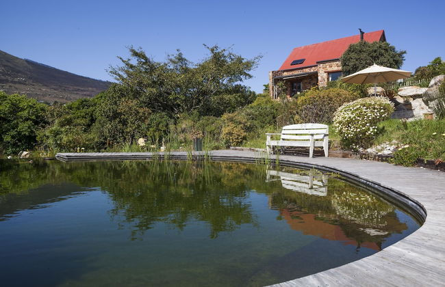 Leopardstone Hill - Photo 1