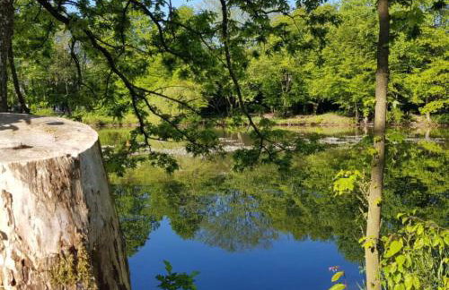 Holiday Home in Atzenhain mit Großer Terrasse by Interhome - Foto 4