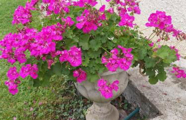 Gîte La Villa Gaïa - Foto 26