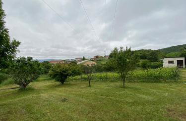 Rizospito - Photo 31