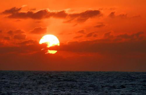 EL Paraiso - Photo 20