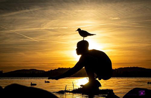 Ferienwohnung Riedblick-Süd-West - Photo 20