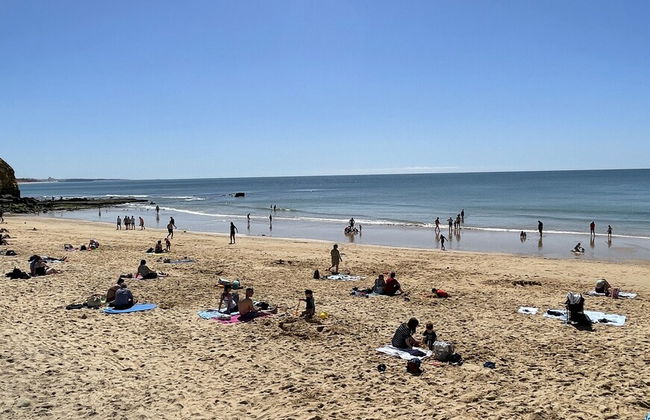 Azinheira CIP - Photo 45