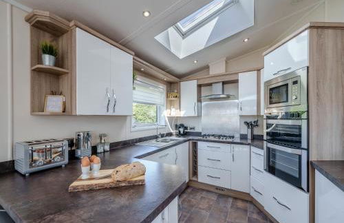 Red Robin - Uk49581 - Foto 6