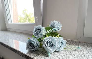 717 Zentrum Ost Apartment - Foto 11