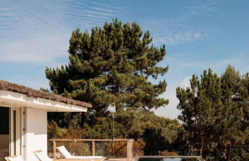 Campo de Arroz - Foto 2