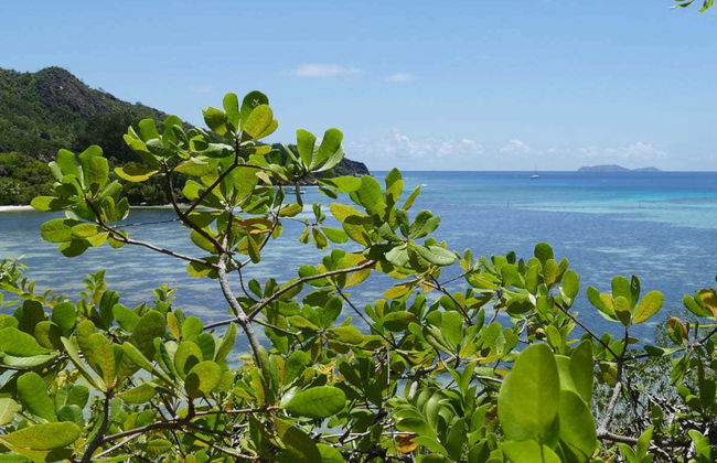 Day Trip to the Islands of Curieuse, Cousin + Saint Pierre - Photo 2