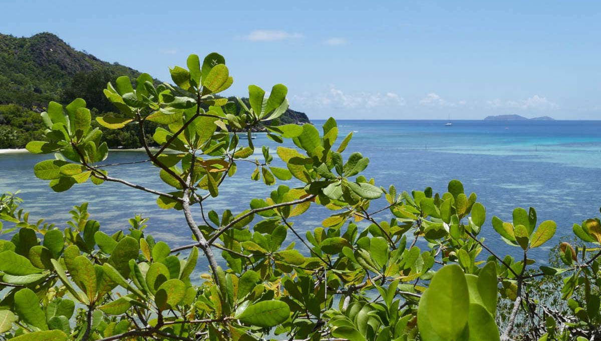 Excursión a las islas Curieuse, Cousin y Saint Pierre - Foto 2, Panorámica de los paisajes de Seychelles