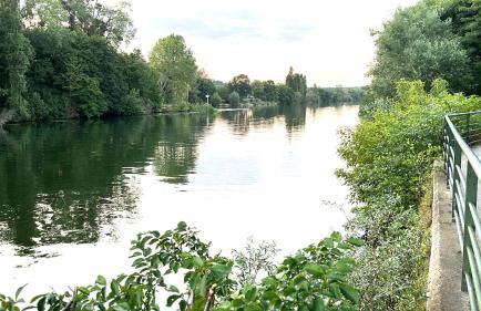 Cosy et lumineux face Seine river - 20 min Paris - Foto 22