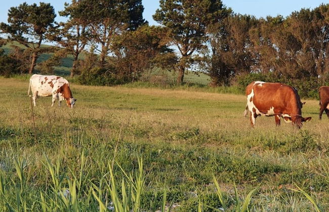 Tranquil Retreat at Tuse NA S-by Traum - Foto 14