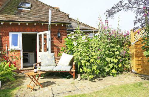 Hollyhocks - Photo 5